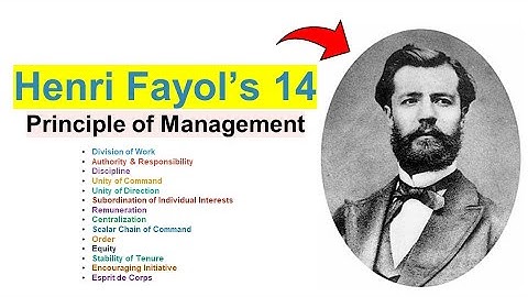 Henri Fayol’s 14 Principles of Management | Explained with Easy Examples | Principles of Management