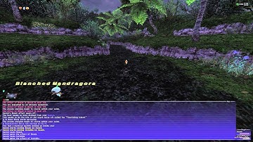 FFXI Reboot - Dances with Luopans