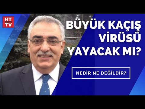 Büyük kaçış virüsü yayacak mı? Prof. Dr. İlyas Dökmetaş yanıtladı