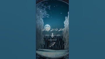 كذبت قبلهم قوم نوح #سورة_القمر #عمير_السائد #القران_الكريم #quran #تلاوة_هادئة #umairalsaed