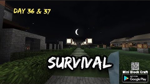 Survival day 36 & 37 mini block craft