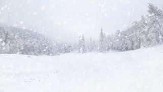 Deadly Midwest Blizzard [REMASTERED] (An EAS Mini Scenario)