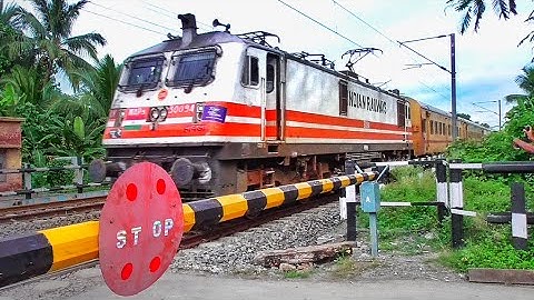 Stormy Speedy Fastest WAP-5 Loco Skip Between Railgate with Alipurduar Teesta Torsa & Intercity Exp