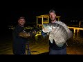 Bowfishing for Tilapia | The Biggest we’ve seen!