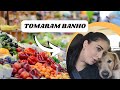CUSTO DE VIDA EM MARINGÁ| TOMARAM BANHO NO PETSHOP