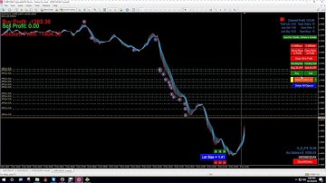 $10 MT4 Trade Simulator,  Learn Forex Fast,  Strategy Tester with  Dual Entry