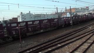 JR貨物　2087レ　代走　EF210 302号機　押太郎　2013年11月