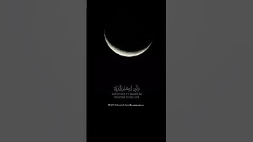 لا يسأم الإنسان من دعاء الخير  |ايات قرانية بصوت القارئ ماهر  المعيقلي الآية 49 من سورة فصلت