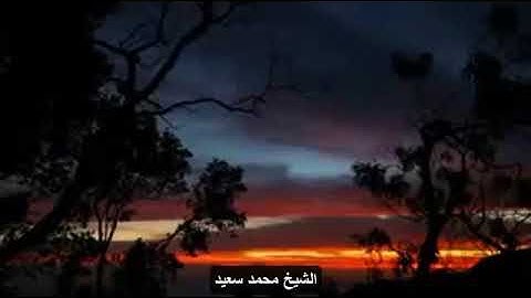 الشيخ محمد السعيد تلاوة تفوق الوصف