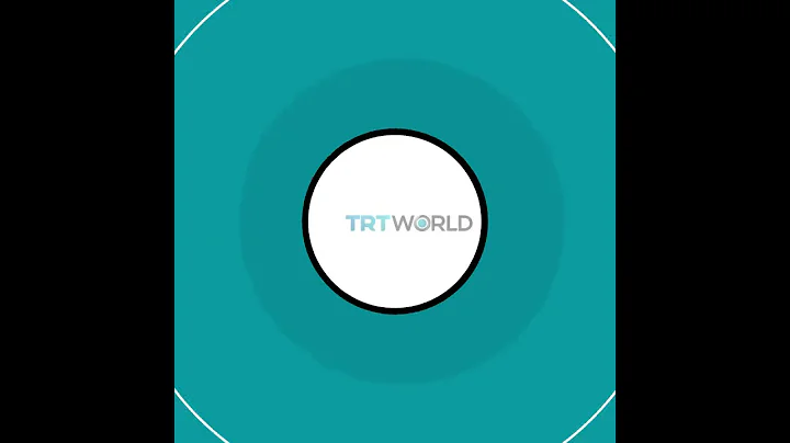 Volunteers in Australia use their cars to rescue koalas