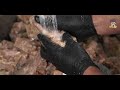 Beginning of video