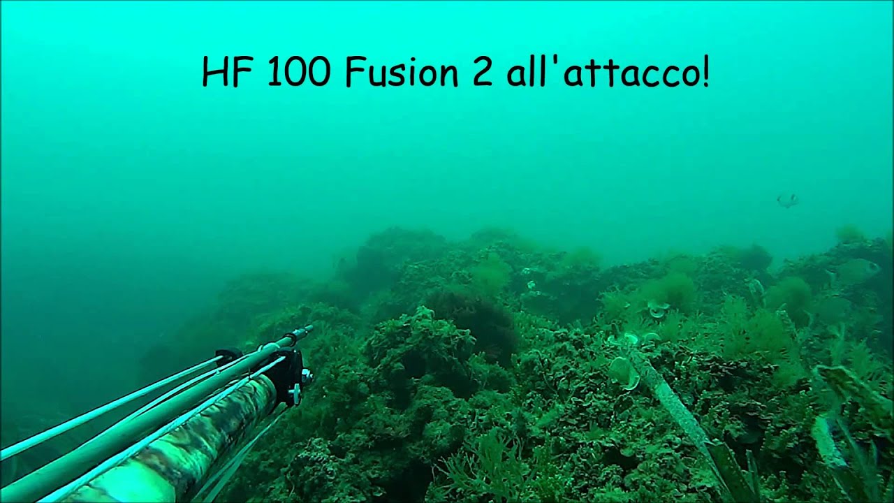 pescasub SFIDE HF100 Fusion 2 vs HF95 doppio 14 pesca in apnea
