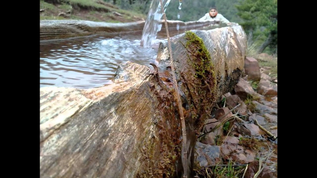 almus bakımlı köyü mamu