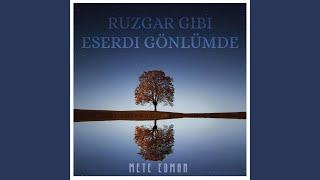 Rüzgar Gibi Eserdi Gönlümde