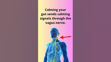 Stress & Belly Fat: The Hidden Connection You NEED to Know