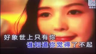 秦咏（因为我爱你）翻唱：志強