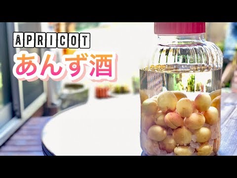 あんず酒　4ℓ瓶　　説明をお読みください あんず酒 4ℓ瓶 説明をお読みください あんず酒 4ℓ瓶 説明をお