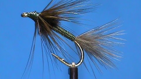 Fly Tying an Olive Copper Sparrow with Jim Misiura