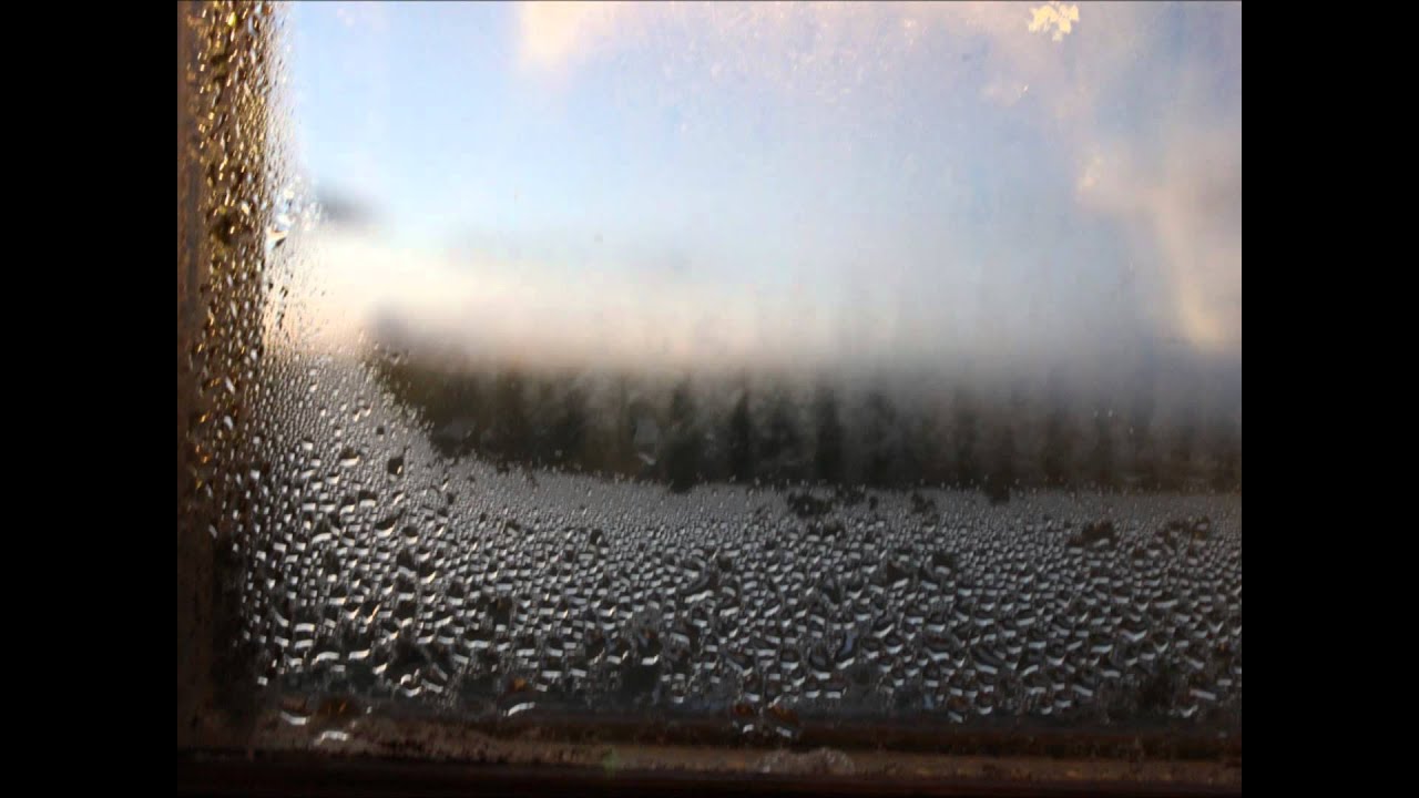 Coldplay Amsterdam (lyrics) YouTube