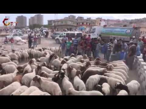 KURBAN SATIŞ VE KESİM YERLERİ BELİRLENDİ