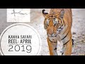 Kanha National Park: Safari Vlog