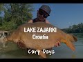Carp Fishing 2020 - jezero Zajarki, Croatia - BIG 40kg CARP in the end of the movie [with EN Subs]