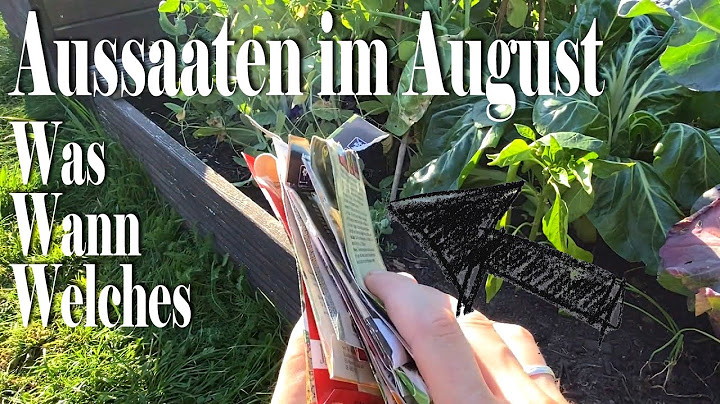Unsere Aussaat im August / Einfaches Gemüse für den Herbst anbauen / Frisches Gemüse auch im Herbst
