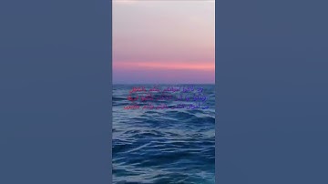 سورة البقرة اية 188 - مع صوت البحر بصوت جميل - وَلاَ تَأْكُلُواْ أَمْوَالَكُم بَيْنَكُم بِالْبَاطِلِ