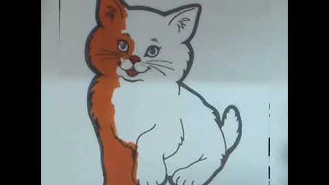 Coloring a cute cat.😺😸❤️