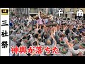 【三社祭】本社神輿が落ちた！千一南の大迫力渡御！～2025年～