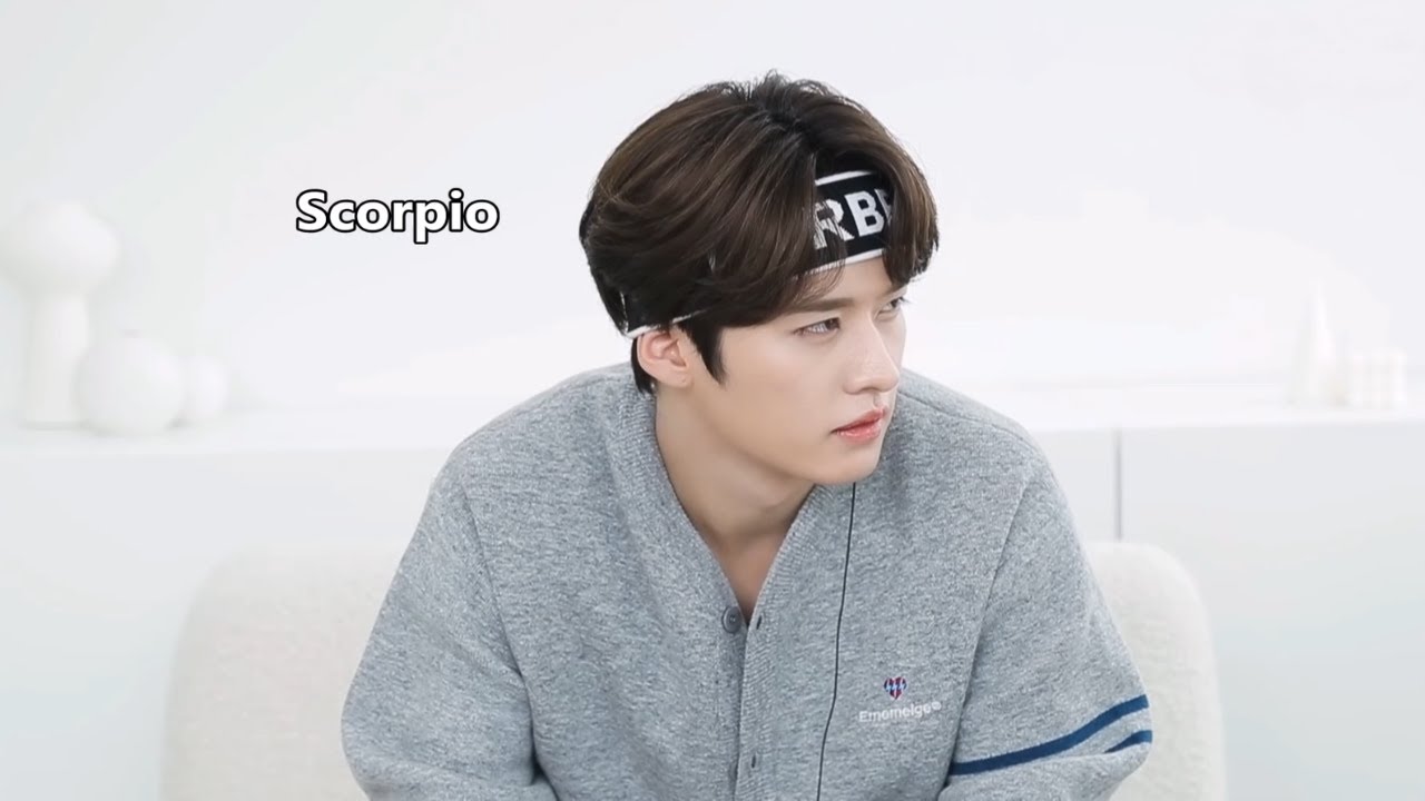 stray kids as their zodiac signs