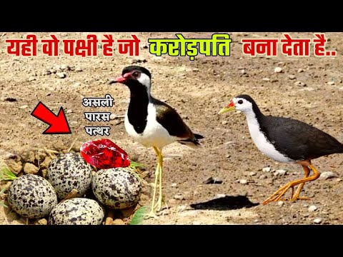 वीडियो: एक पार्स ट्री क्या दिखाता है?