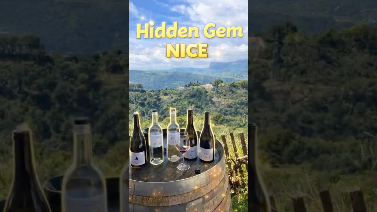 BEST Spot for Your Trip To NICE! 🇫🇷🍷