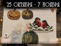 Женькин двухнедельник: 80-81 недели