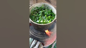Thumbnail of daun singkong kaya mafaat dan protein untuk entok #duck #ternak