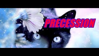 Precession Прецессия Полный Маркетинг. От 12 02 2019Г