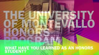 UM Honors Program - What have you learned?