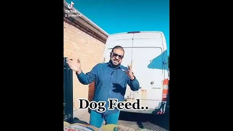 Animal feed export services Cargo Lord UK