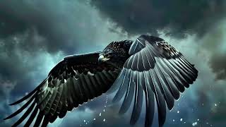 Kartal Yüreği Remix Beşiktaş Ai Marşı Kara Kartal Forever