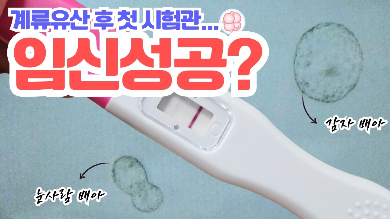 시험관 4차, 눈사람/감자배아 동결 이식 1차 피검 결과는? 🫢