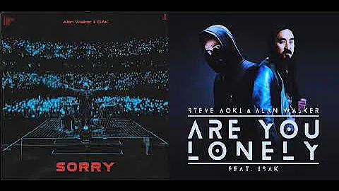 Alan Walker, Steve Aoki, ISÁK, Omar Noir - Are you Sorry (Lonely & Sorry Mashup)