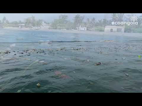 O lixo transportado pela chuva em Luanda, Angola | EcoAngola