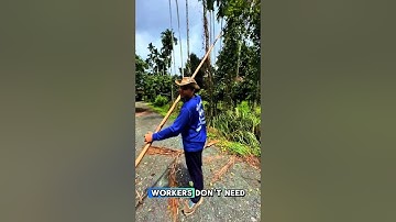 a smart way to trim tall leaves without climbing