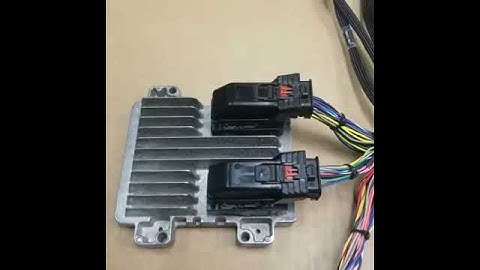 Wiring Specialties New LS3 Swap, 58x Drive by Wire Harness