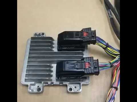 Wiring Specialties New LS3 Swap, 58x Drive by Wire Harness - YouTube