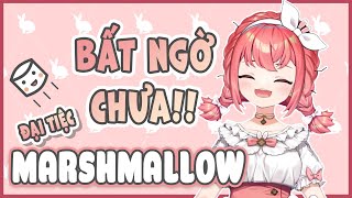 Nếu các ngươi thành tâm muốn biết, thì| DU CA MARSHMALLOW ++