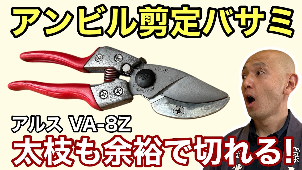 Can be used with the left hand too!] Anvil pruning shears that cut