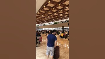 naia terminal1#shortsvideo #shorts#naia#terminal 1#traveler