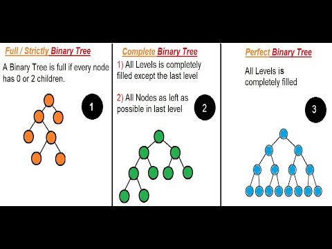 23- ماهي الـ Binary Tree وخصائصها وأنواعها ؟