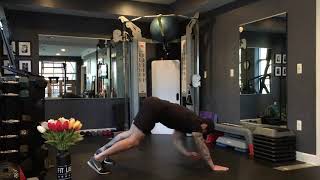 Plank with Contralateral Toe Touch